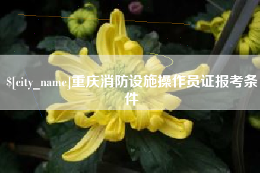 钟祥重庆消防设施操作员证报考条件
