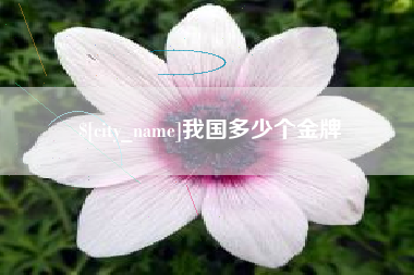 钟祥我国多少个金牌
