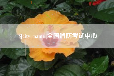 钟祥全国消防考试中心