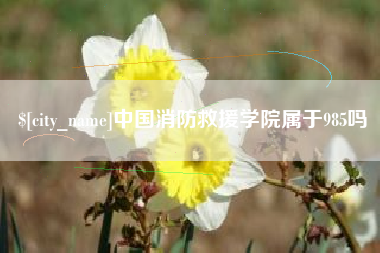 钟祥中国消防救援学院属于985吗