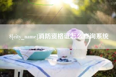 钟祥消防资格证怎么查询系统