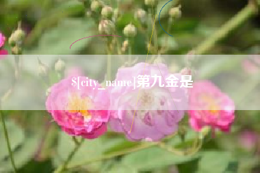 钟祥第九金是