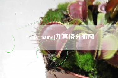 钟祥九宫格分布图
