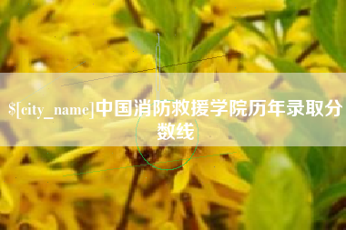 钟祥中国消防救援学院历年录取分数线