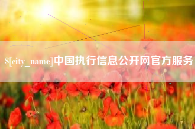 钟祥中国执行信息公开网官方服务