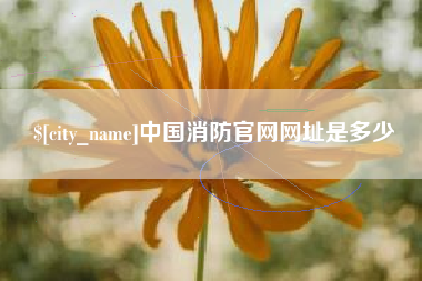 钟祥中国消防官网网址是多少