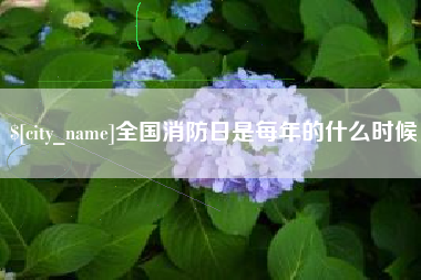 钟祥全国消防日是每年的什么时候