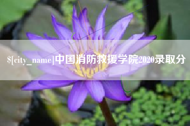 钟祥中国消防救援学院2020录取分