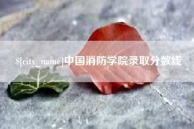 钟祥中国消防学院录取分数线