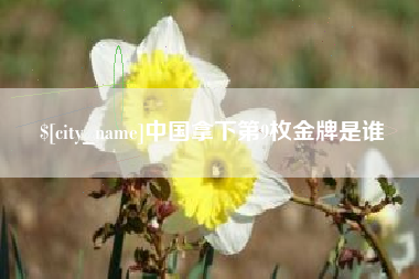 钟祥中国拿下第9枚金牌是谁