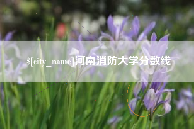 钟祥河南消防大学分数线