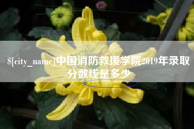 钟祥中国消防救援学院2019年录取分数线是多少