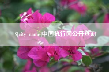 钟祥中国执行网公开查询