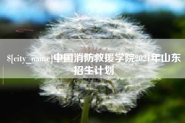 钟祥中国消防救援学院2021年山东招生计划