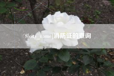 钟祥消防证的查询