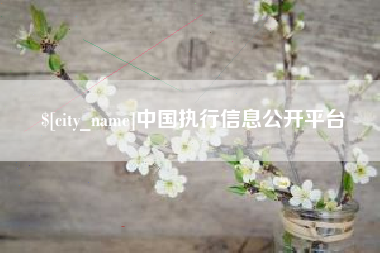 钟祥中国执行信息公开平台