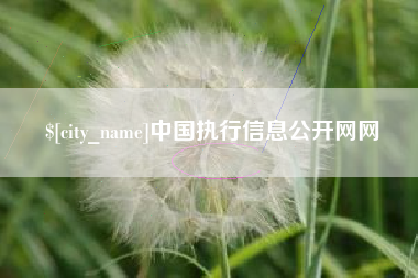 钟祥中国执行信息公开网网