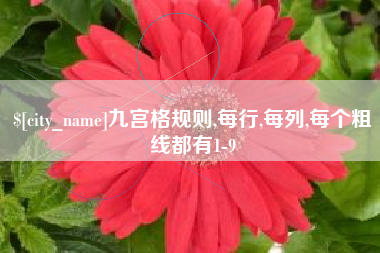 钟祥九宫格规则,每行,每列,每个粗线都有1-9