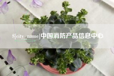 钟祥中国消防产品信息中心