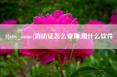 钟祥消防证怎么查询,用什么软件