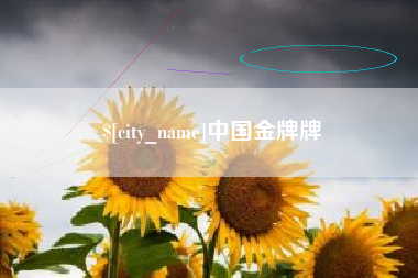 钟祥中国金牌牌