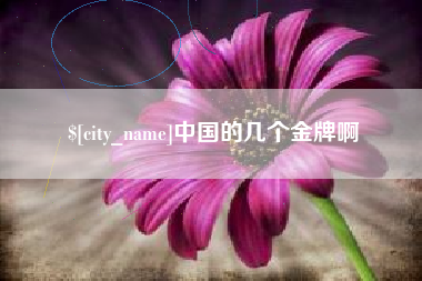 钟祥中国的几个金牌啊