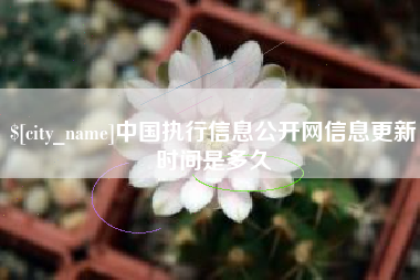 钟祥中国执行信息公开网信息更新时间是多久