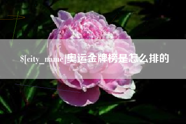 钟祥奥运金牌榜是怎么排的