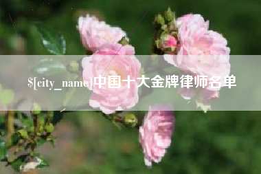 钟祥中国十大金牌律师名单