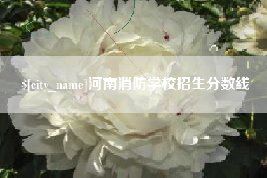 钟祥河南消防学校招生分数线