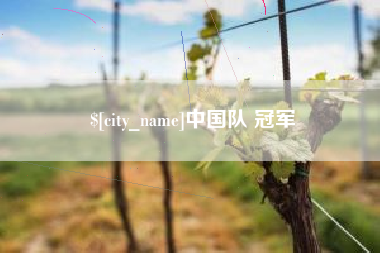 钟祥中国队 冠军
