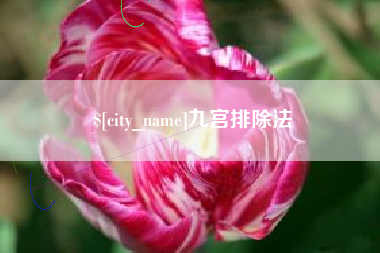 钟祥九宫排除法