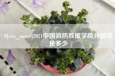 钟祥2021中国消防救援学院分数线是多少