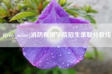 钟祥消防救援学院招生录取分数线
