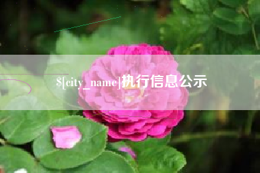 钟祥执行信息公示