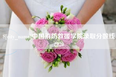 钟祥中国消防救援学院录取分数线2020