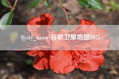 钟祥谷歌卫星地图2025