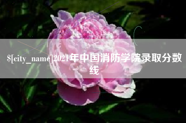 钟祥2021年中国消防学院录取分数线