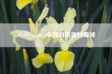 钟祥中国消防器材商城