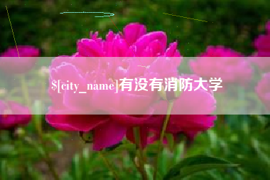 钟祥有没有消防大学