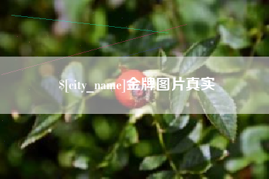 钟祥金牌图片真实