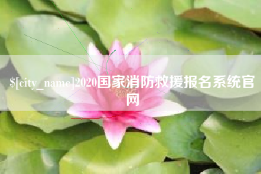 钟祥2020国家消防救援报名系统官网