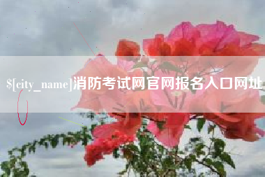 钟祥消防考试网官网报名入口网址