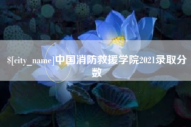 钟祥中国消防救援学院2021录取分数