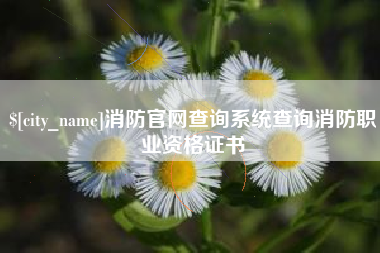 钟祥消防官网查询系统查询消防职业资格证书