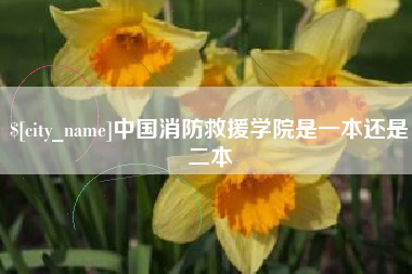 钟祥中国消防救援学院是一本还是二本