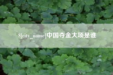钟祥中国夺金大项是谁