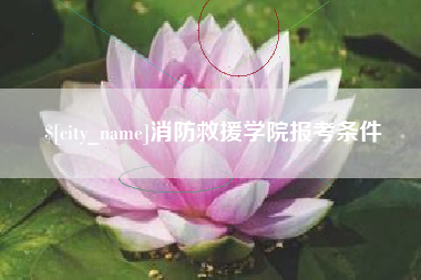 钟祥消防救援学院报考条件