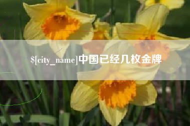 钟祥中国已经几枚金牌