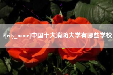 钟祥中国十大消防大学有哪些学校